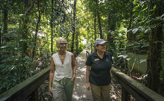 Guided Rainforest Walk at Daintree Ecolodge