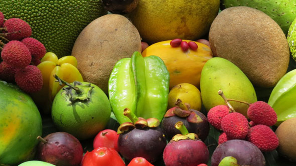 Fruit in the Daintree Rainforest