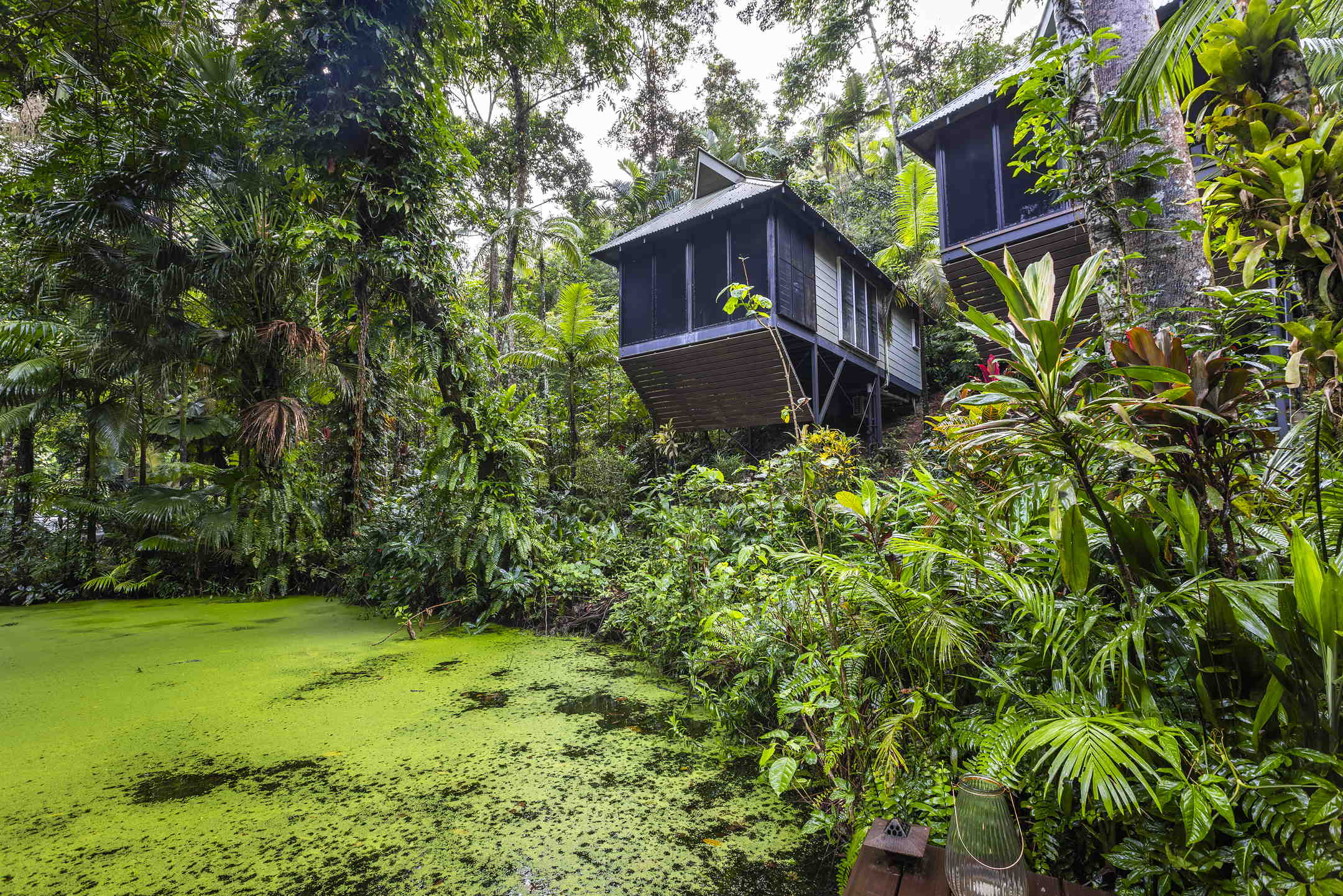 Daintree Ecolodge treehouses by the lagoon