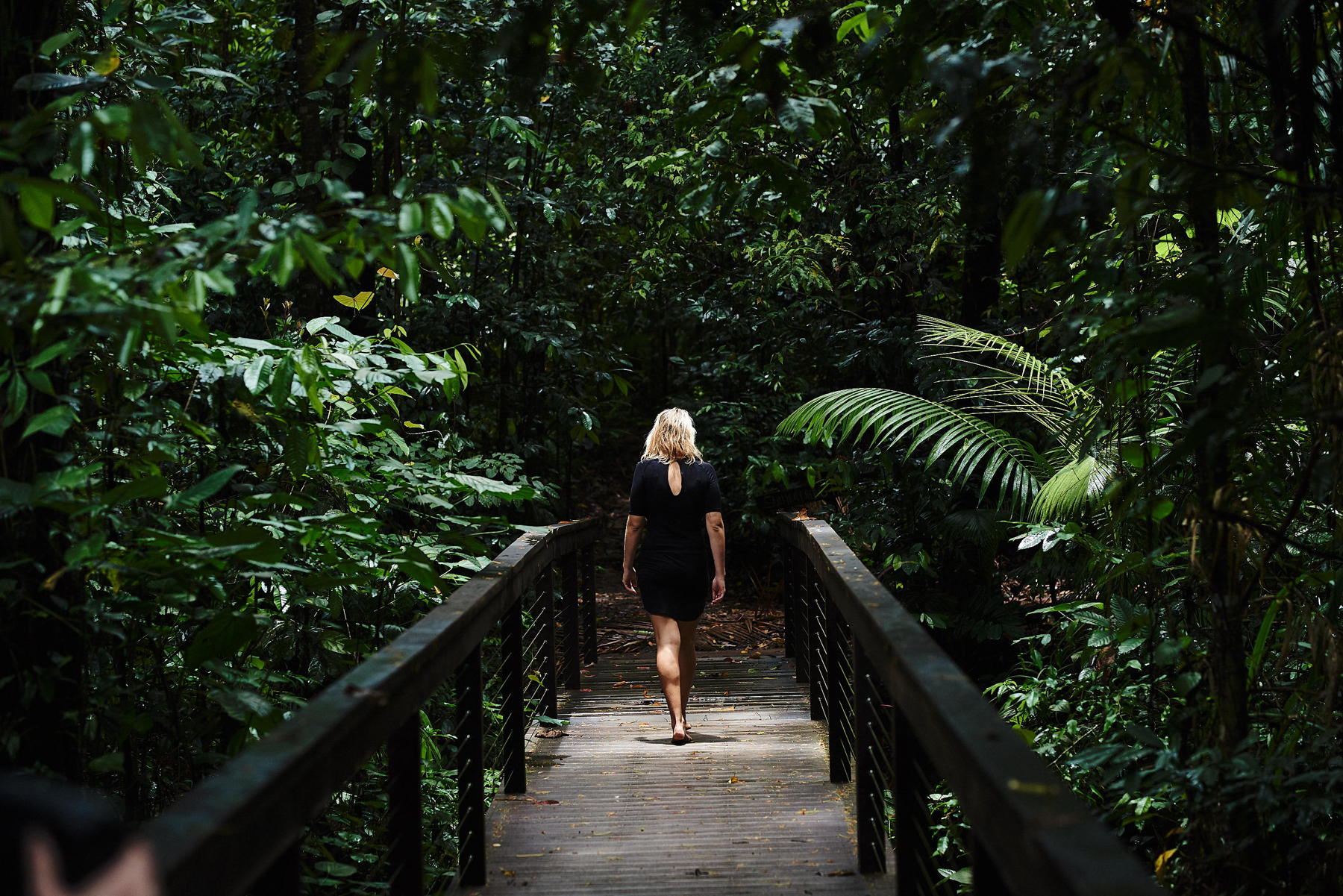 Daintree Ecolodge Sustainability